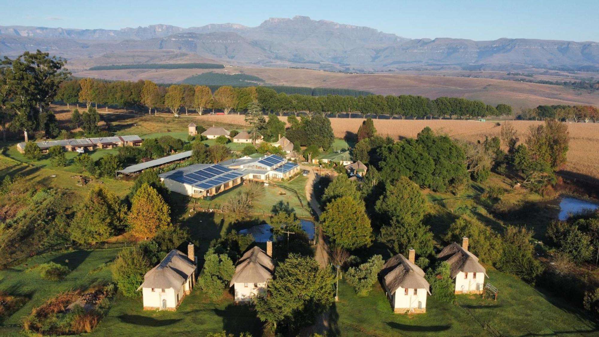 Ardmore Guest Farm Champagne Valley Extérieur photo