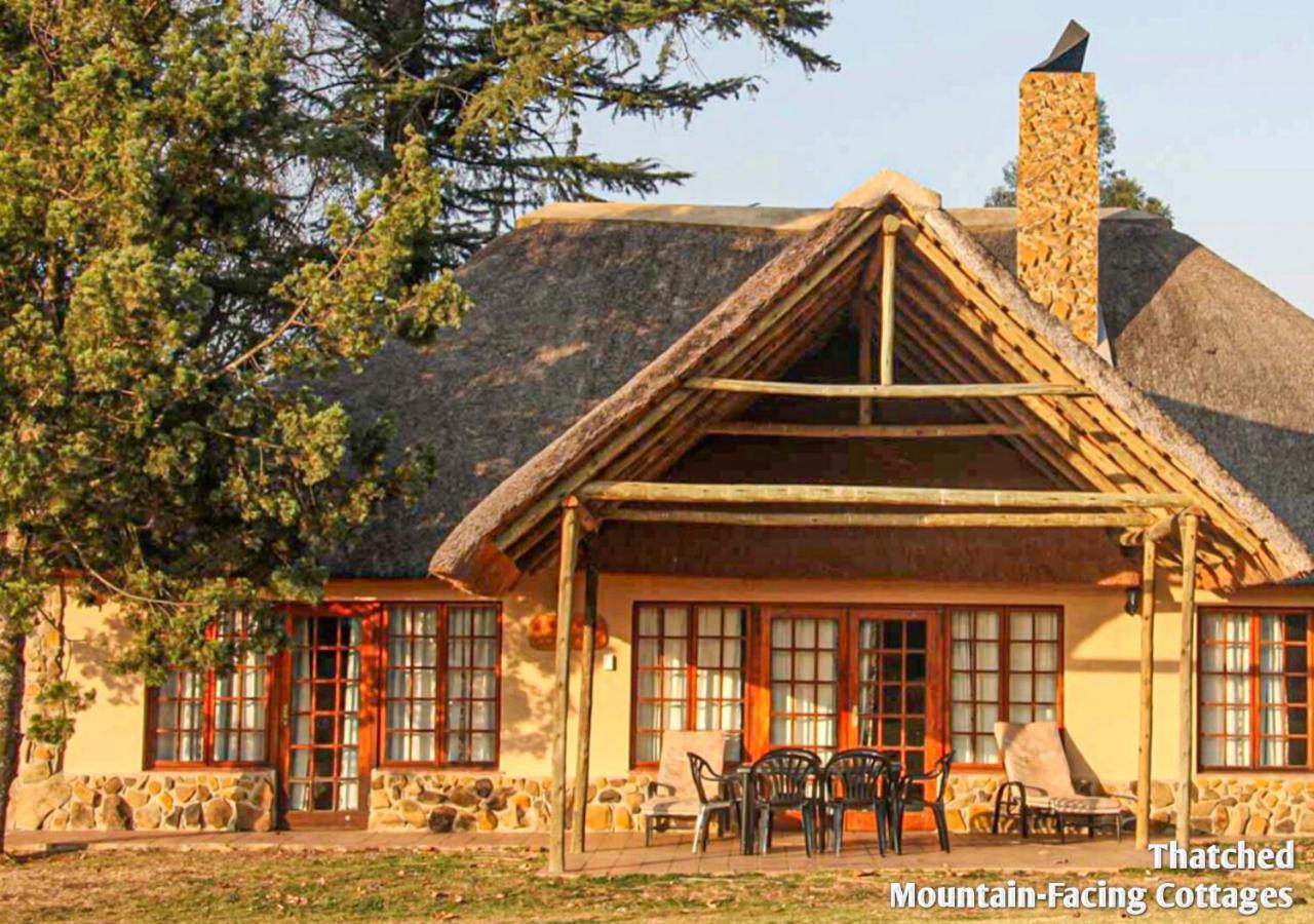 Ardmore Guest Farm Champagne Valley Extérieur photo